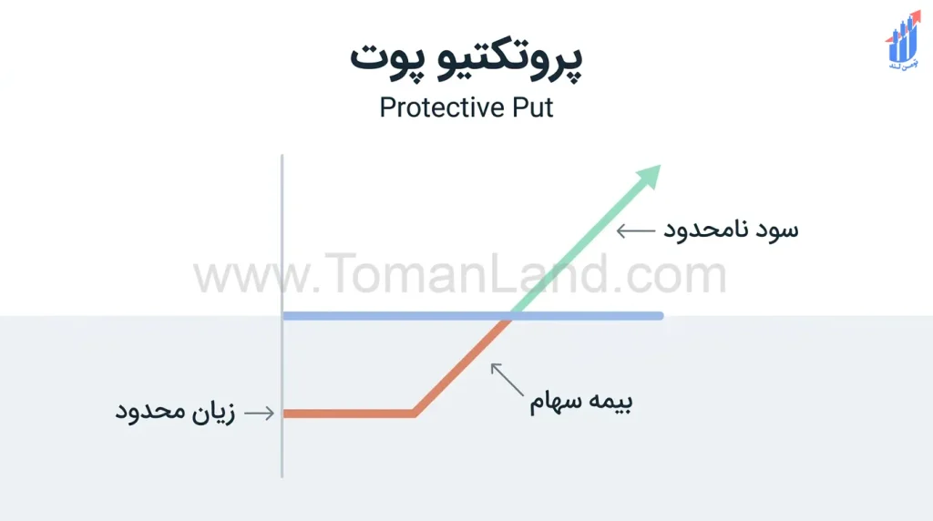 اینفوگرافیک فارسی و آموزشی از استراتژی پروتکتیو پوت